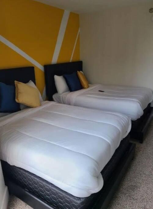 2bedroom Downtown Pool And Gym Onsite. Appartement